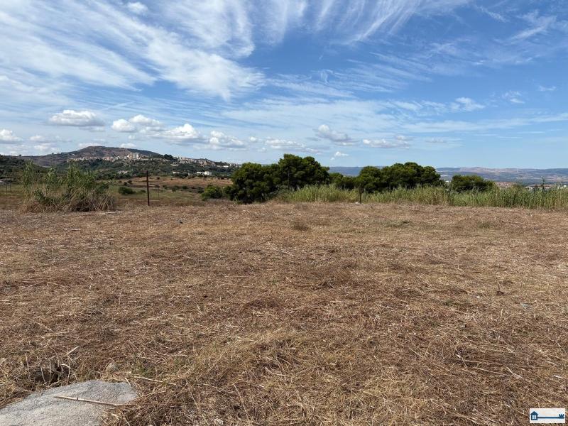 PHOTO-2025-08-20-18-38-07 (2).jpg